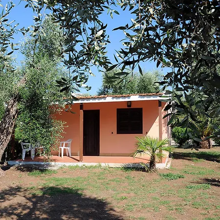 Villaggio Turistico Parco Degli Ulivi